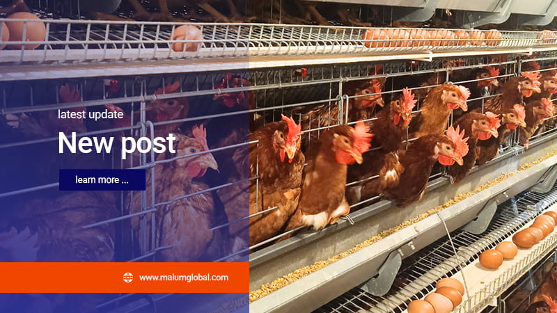 Artikel PT Malum Global Farmasindo 1