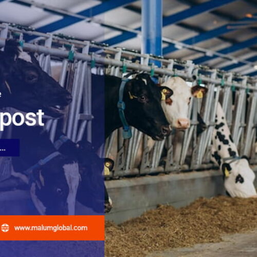 Artikel PT Malum Global Farmasindo 4