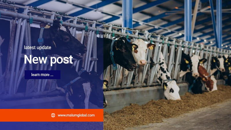 Artikel PT Malum Global Farmasindo 4