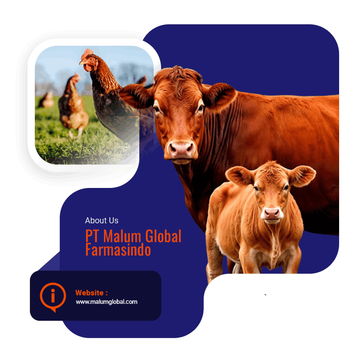 Profil PT Malum Global Farmasindo